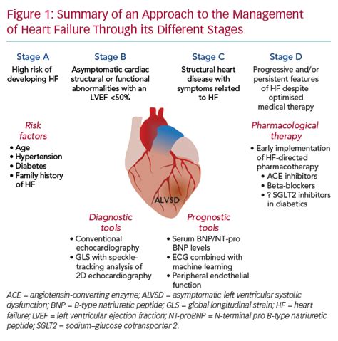 what is preserved biventricular function